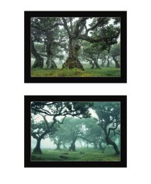 "Enchanted Forest Collection" 2-Piece Vignette By Martin Podt; Ready to Hang Framed Print; Black Frame