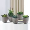 5Pcs Artificial Succulent Cactus Plants; Faux Succulent Cactus Plants with Gray Pots for Home Decor