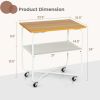 2-Tier End Table with Metal Storage Shelf and Foldable Frame